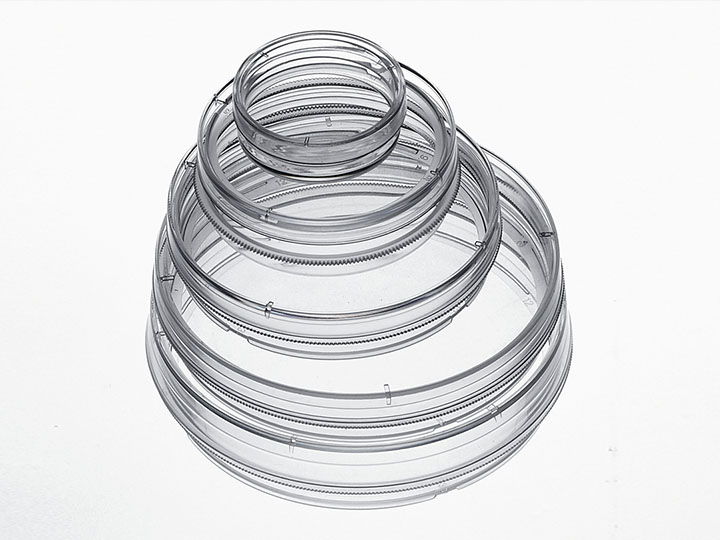 PP电子(中国)官方网站