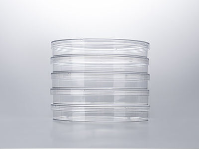 培养皿盖外边缘凸起，保证叠放稳定；